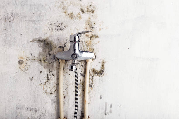 Best Mold Remediation for Specific Building Types in Northbrook, OH